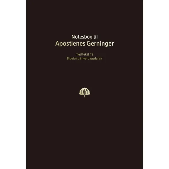 Bibelnotesbog 5, Apostlenes Gerninger