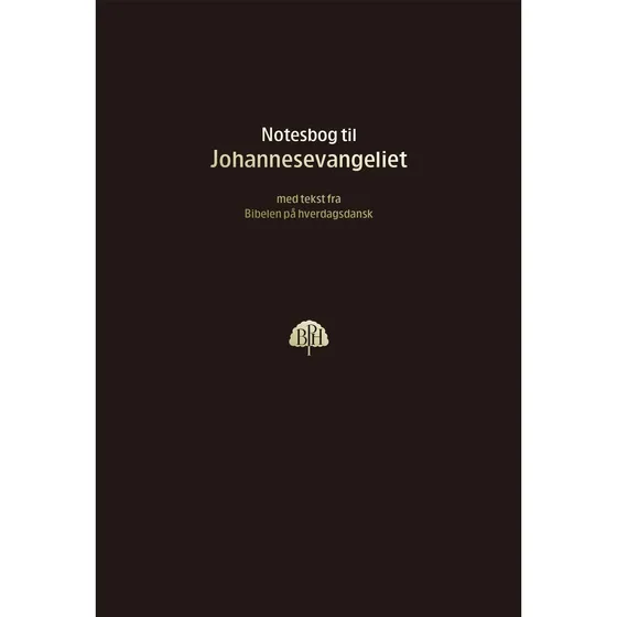 Bibelnotesbog 4, Johannesevangeliet - Bibelen på hverdagsdansk