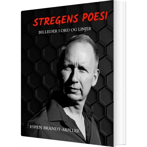 Stregens Poesi af Espen Brandt-Møller - Bog