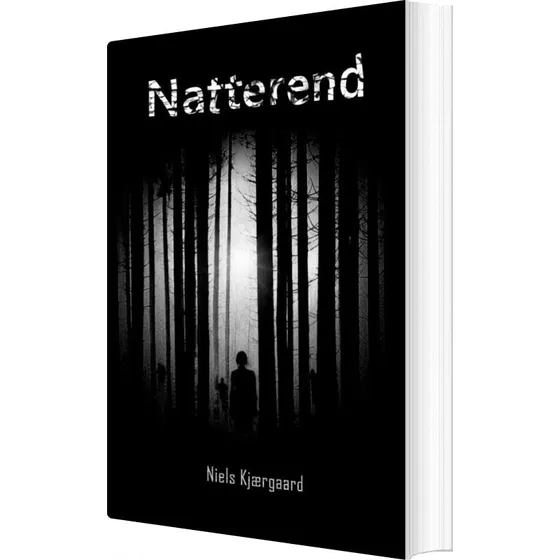 Niels Kjærgaard: Natterend - Bog (Arkade)