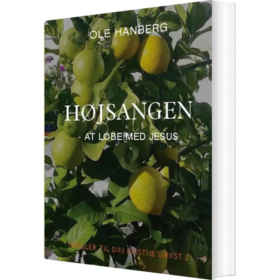 Højsangen af Ole Hanberg - Bog