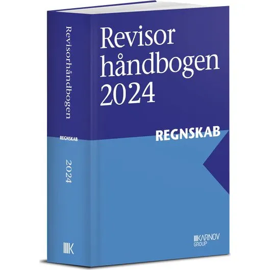 Revisorhåndbogen 2024, Regnskab