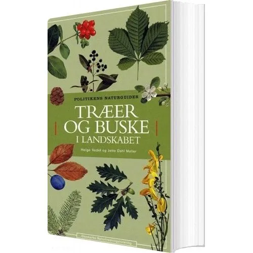 Træer og buske i landskabet – feltbog (Helge Vedel)