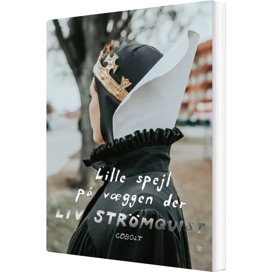 Lille Spejl på Væggen Der - Liv Strömquist