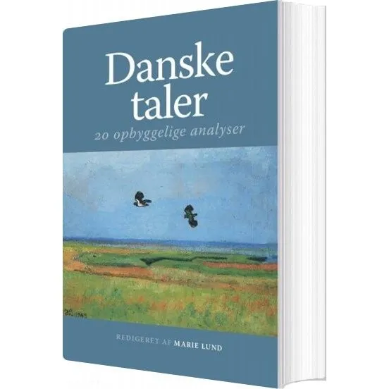 Danske taler — 20 analyser af kunst & kultur