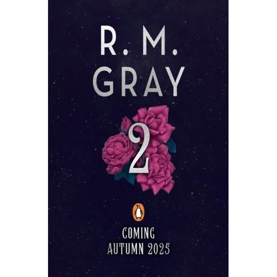 Starchaser af R. M. Gray - Ungdomsfantasy bog
