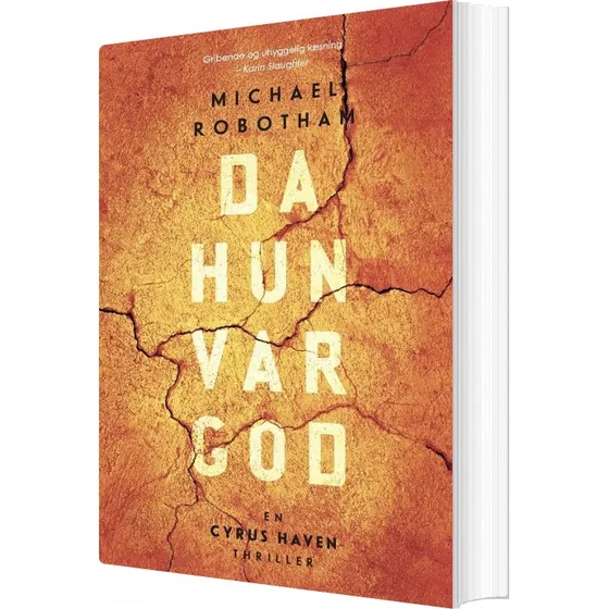 Da hun var god – Michael Robotham