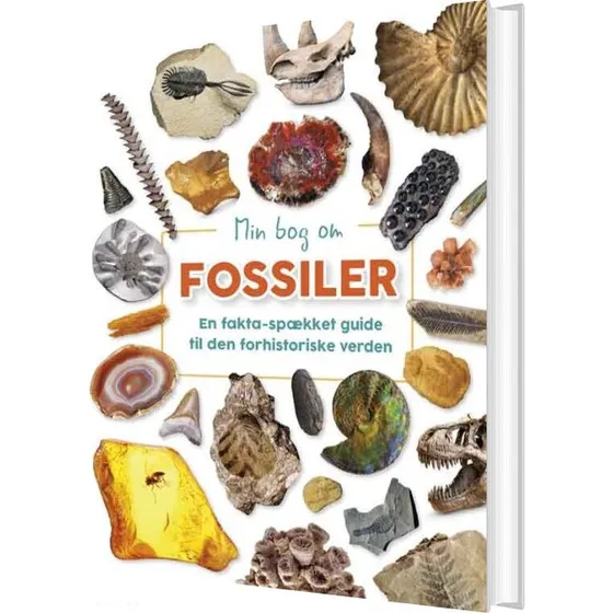 Min bog om fossiler – Dr. Dean Lomax (hardcover)