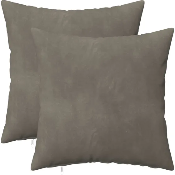vidaXL Heerlen Pyntepuder 2 stk. - Lysegrå Fløjl 35x35 cm