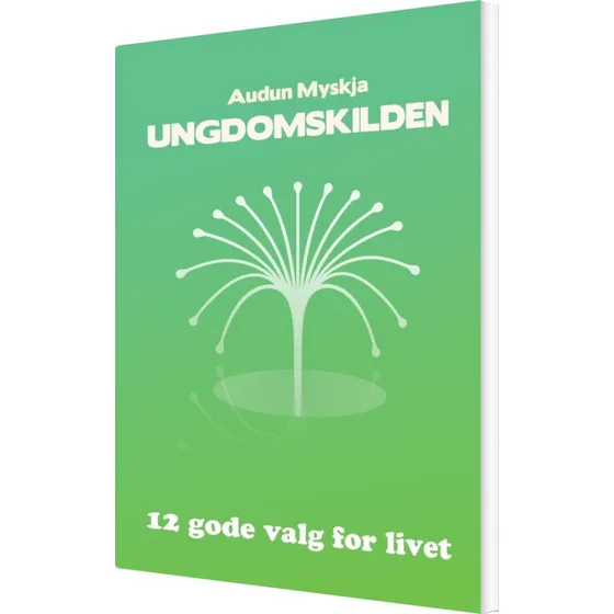 Ungdomskilden: 12 valg for krop og sind – Audun Myskja