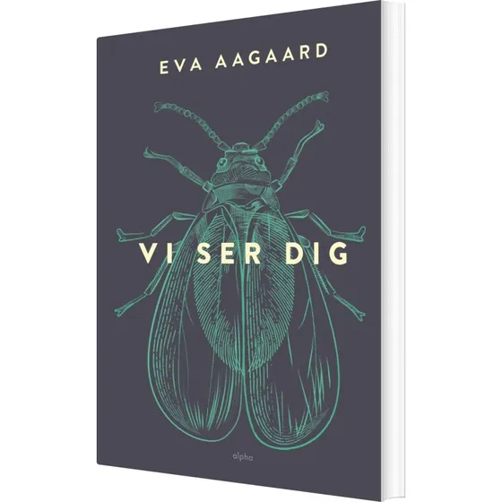 Vi ser dig – Eva Aagaard (hæftet)