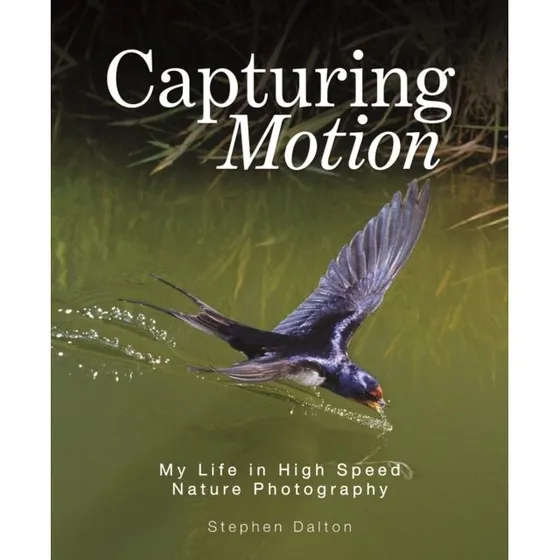 Stephen Dalton: Capturing Motion - High Speed Nature Photography