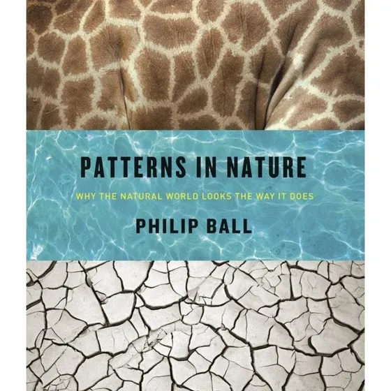 Patterns in Nature af Philip Ball - Bog