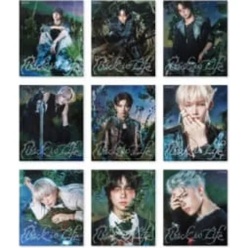 &Team - Back To Life (Roar Ver.) Mini Album (CD)