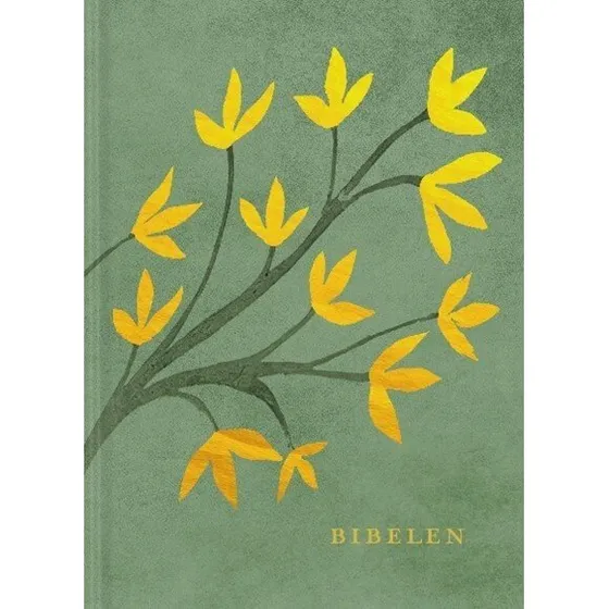 Bibelen - Luksusudgave i lærredsbind (14x18,5 cm)