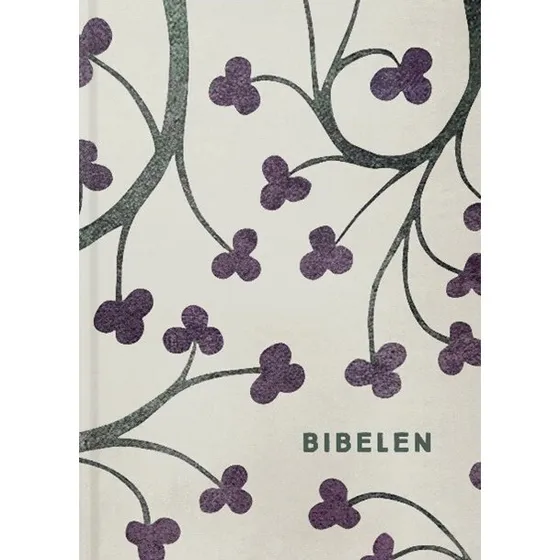 Bibelen med apokryfer – indbundet hardcover