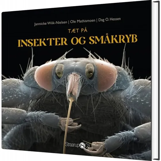Tæt på insekter og småkryb – Dag O. Hessen (Hardback)