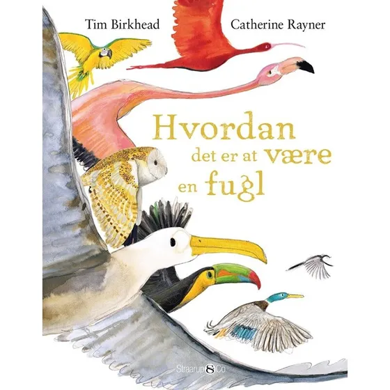 Hvordan det er at være en fugl – børnebog (hardback)