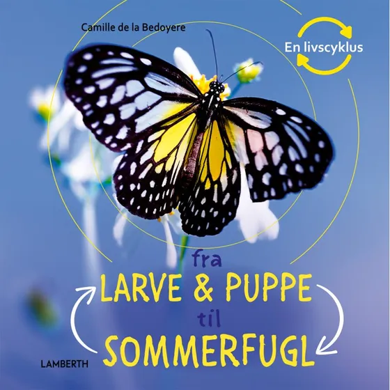 Fra larve og puppe til sommerfugl - Børnebog (hardcover)