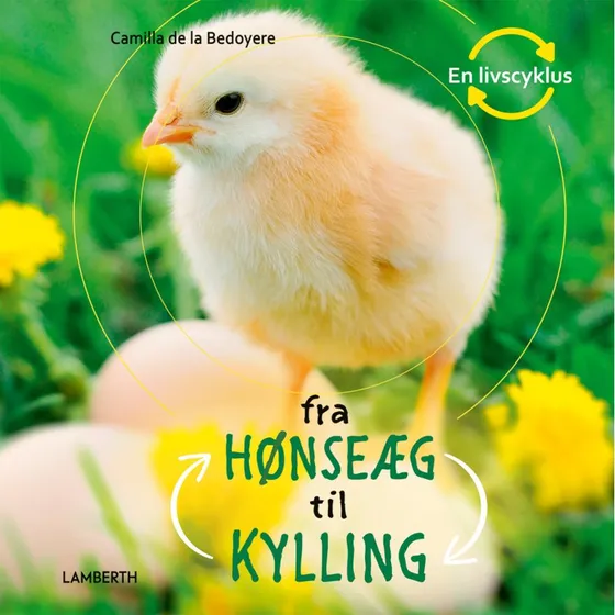 Fra hønseæg til kylling – børnebog (hardcover)