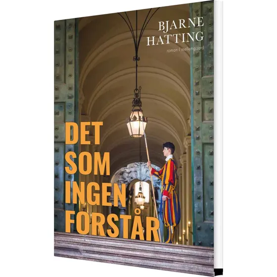 Det som ingen forstår – roman af Bjarne Hatting