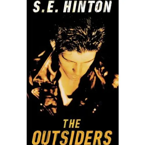 The Outsiders - S. E. Hinton (Bog)