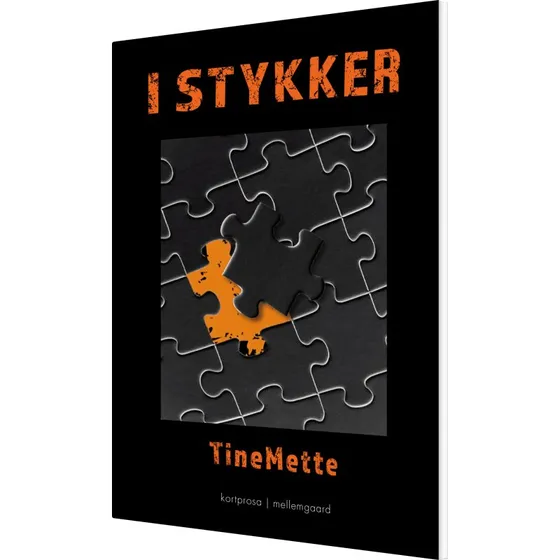 I Stykker – roman af Tinemette (hæftet)