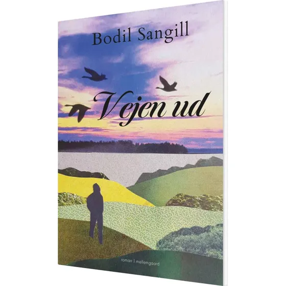 Vejen ud – roman af Bodil Sangill