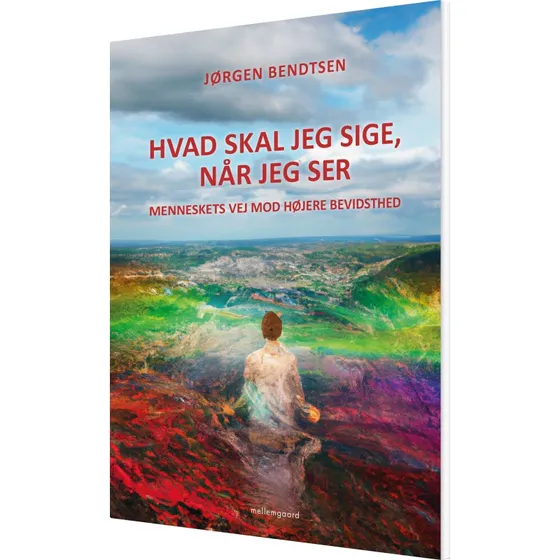 Hvad skal jeg sige, når jeg ser? – Jørgen Bendtsen