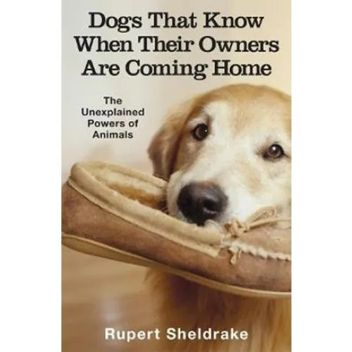 Rupert Sheldrake: Dogs That Know When Their Owners Are Coming Home