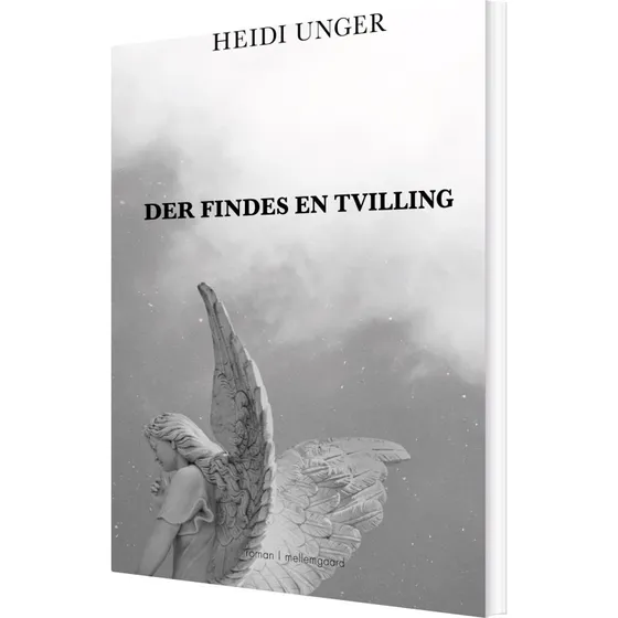 Der findes en tvilling – roman af Heidi Unger