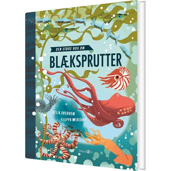 Den store bog om blæksprutter – Celia Svedhem