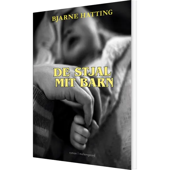 De stjal mit barn – roman af Bjarne Hatting