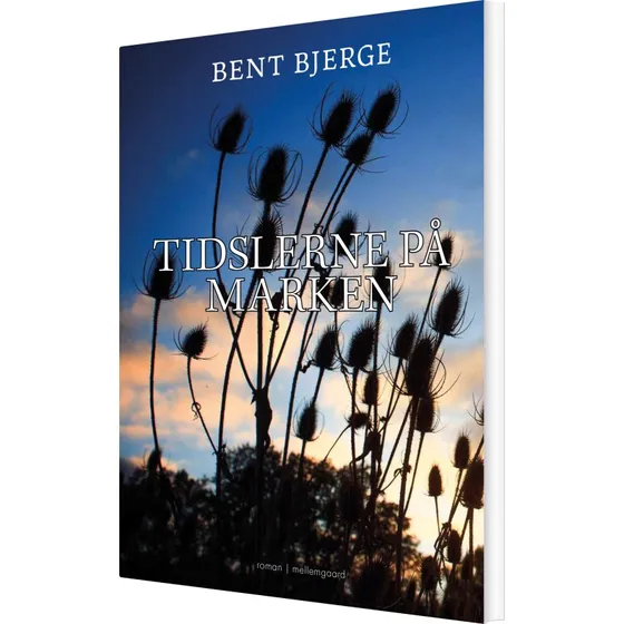 Tidlserne på marken - Bent Bjerge (hæftet)