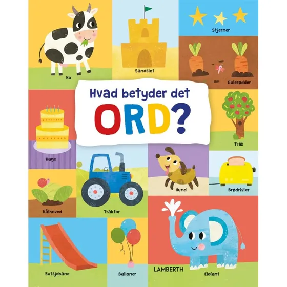 Hvad betyder det ord? – Billedbog af Nastya Rizaeva