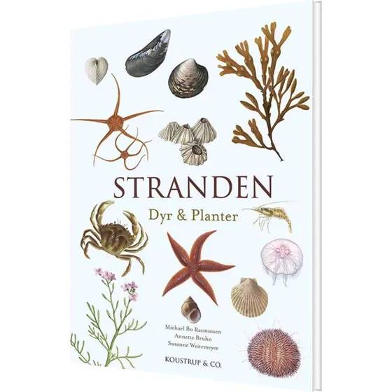 Stranden: Dyr & Planter – Michael Bo Rasmussen