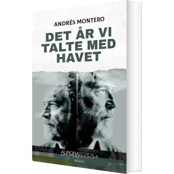 Det år vi talte med havet – Andrés Montero (hæftet)