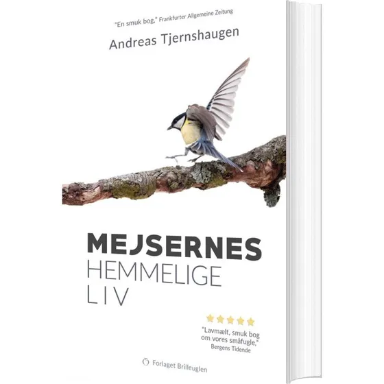 Mejsernes hemmelige liv – Andreas Tjernshaugen