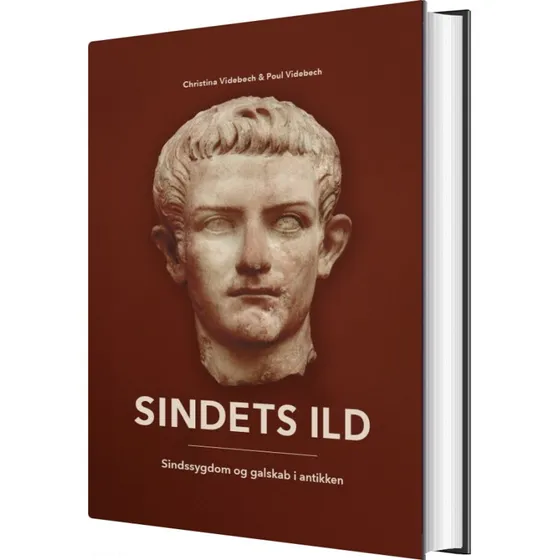 Sindets Ild – Sindssygdom i antikken (Poul Videbech)