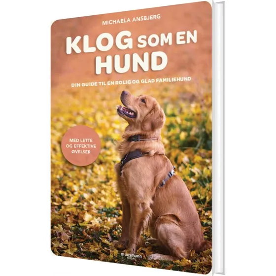 Klog som en hund – guide til en rolig familiehund