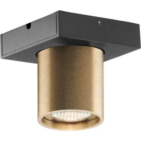 LIGHT-POINT Focus 1 LED Loftlampe 3000K Brass