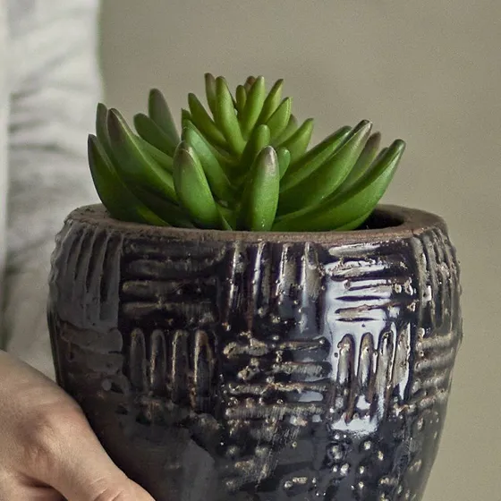 Bloomingville Echeveria kunstig plante, grøn - H: 14 cm