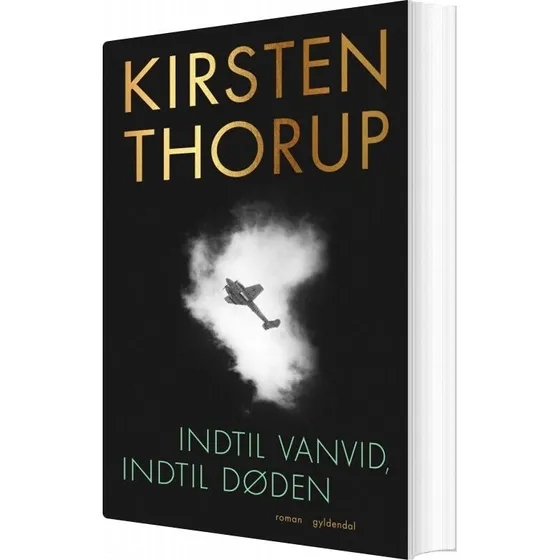 Indtil vanvid, indtil døden – Kirsten Thorup (hæftet)