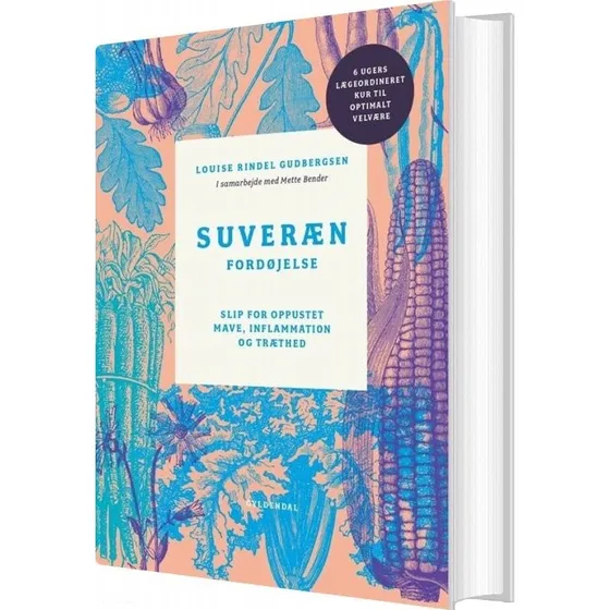 Suveræn Fordøjelse – 6-ugers guide (Mette Bender)