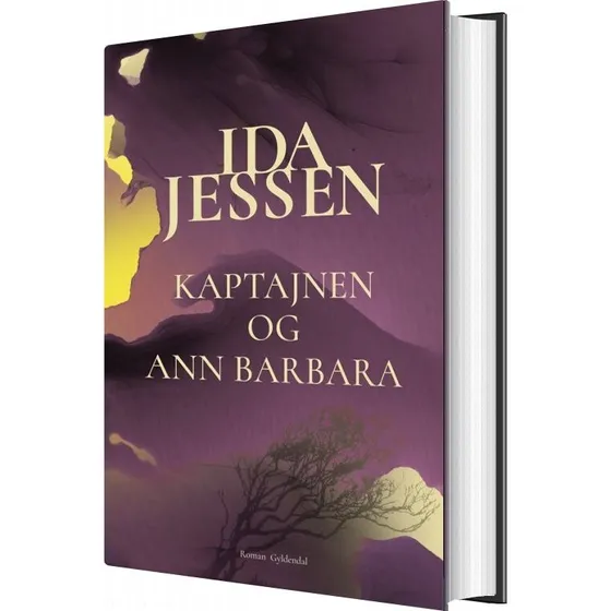 Kaptajnen og Ann Barbara - Ida Jessen (hardcover)