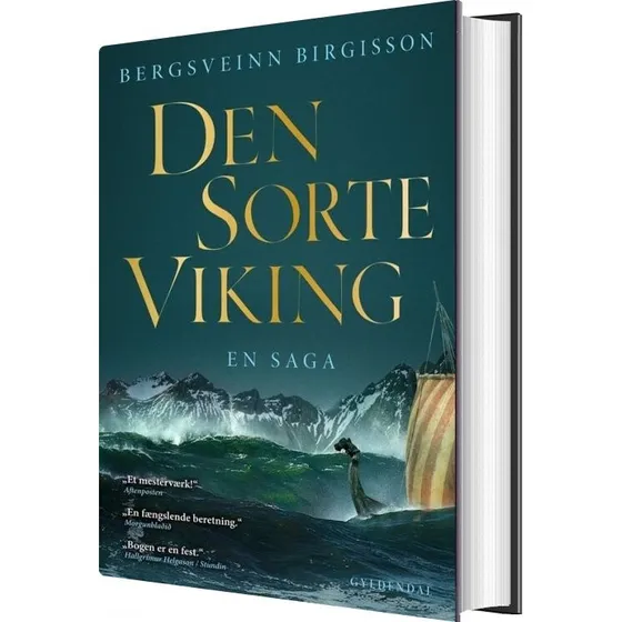 Den Sorte Viking – Bergsveinn Birgisson (hæftet)