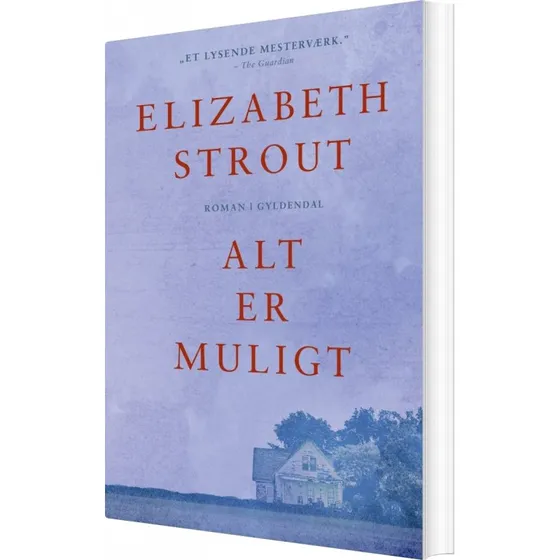 Alt er muligt – Elizabeth Strout (hæftet)