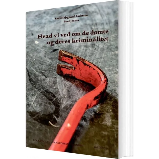 Hvad vi ved om de dømte og deres kriminalitet