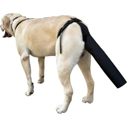 Justerbar Halebeskytter til Hund - Small - Sårpleje & Anti-bid