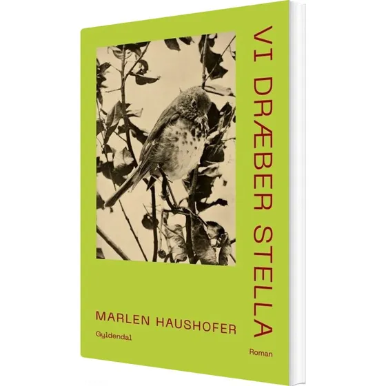 Vi dræber Stella - Marlen Haushofer (hæftet)